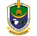 Roscommon GAA Crest